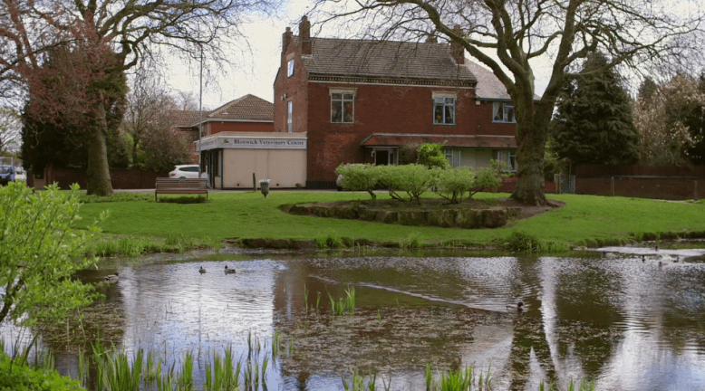 View of Wallington Heath 2016 with duck pond if front of house and vets surgery.